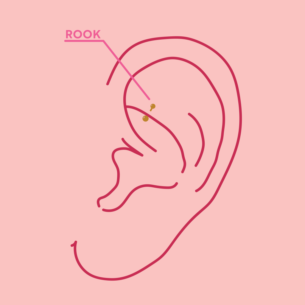 Rook Piercings Everything You Need To Know Essential Beauty Piercing