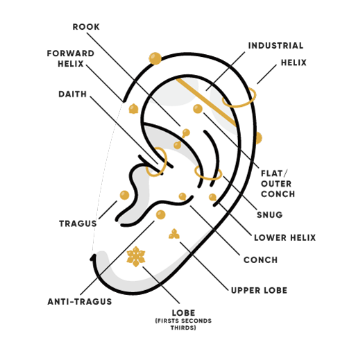 Ear Piercing Chart For