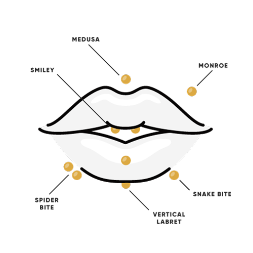 lip piercing chart