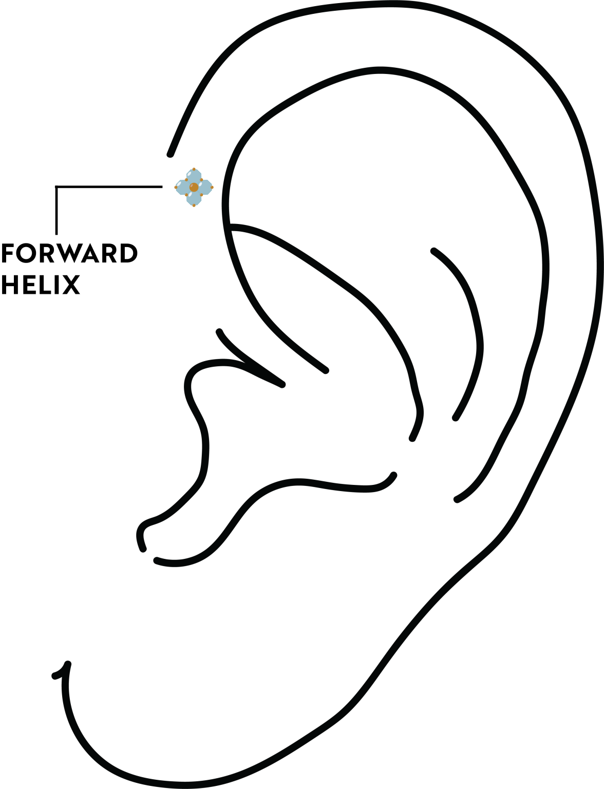 A Guide to Forward Helix Piercings - Essential Beauty & Piercing