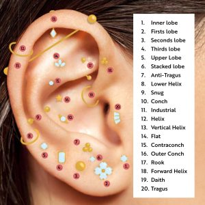 Picture of ear with labels of ear piercings