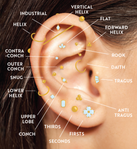 Ear diagram of piercings